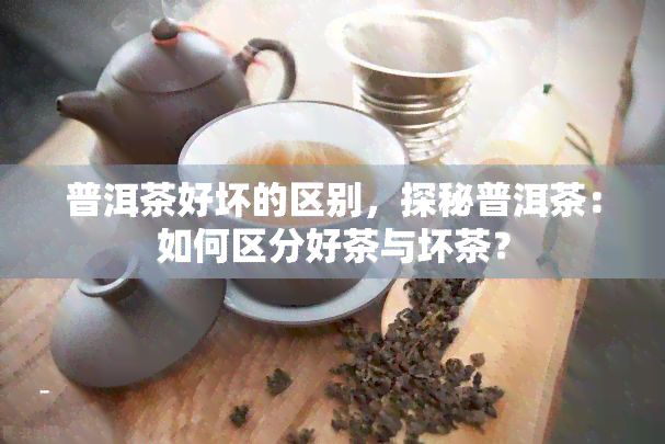 普洱茶好坏的区别，探秘普洱茶：如何区分好茶与坏茶？