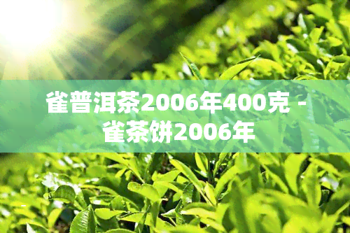 雀普洱茶2006年400克 - 雀茶饼2006年