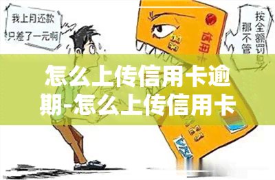 怎么上传信用卡逾期-怎么上传信用卡逾期证明