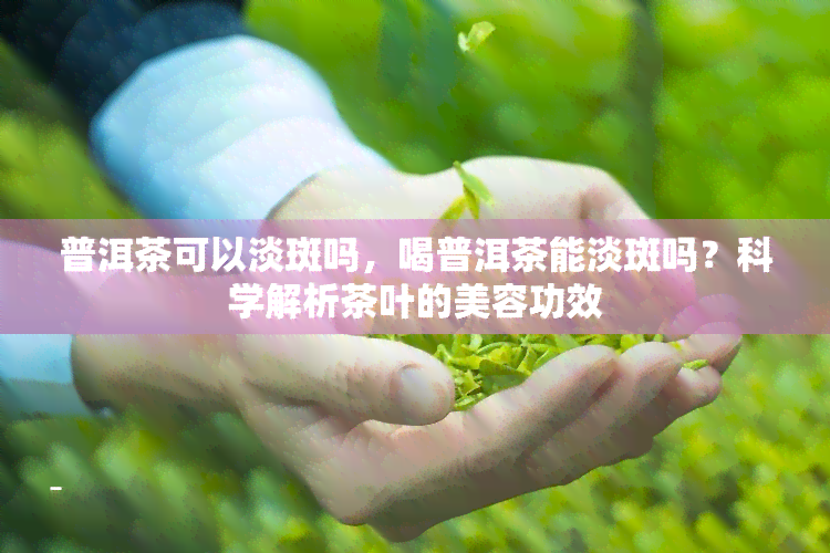 普洱茶可以淡斑吗，喝普洱茶能淡斑吗？科学解析茶叶的美容功效