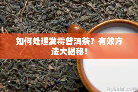 如何处理发霉普洱茶？有效方法大揭秘！