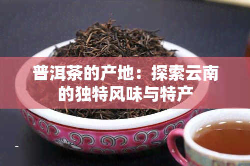 普洱茶的产地：探索云南的独特风味与特产