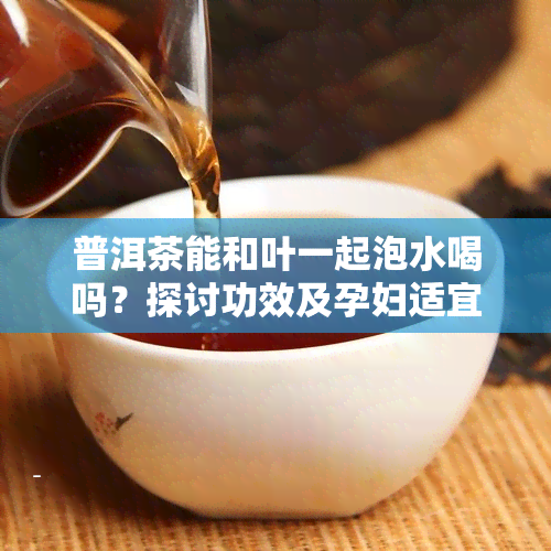 普洱茶能和叶一起泡水喝吗？探讨功效及孕妇适宜性