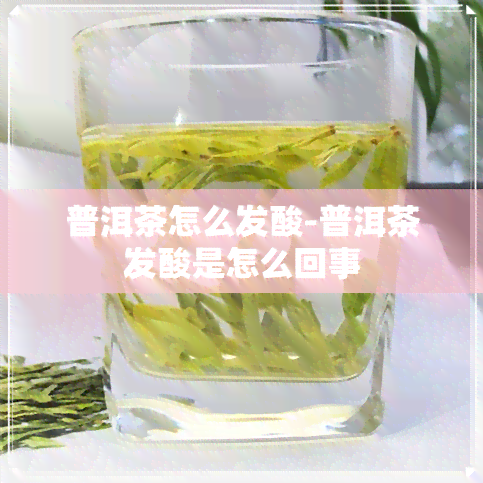 普洱茶怎么发酸-普洱茶发酸是怎么回事