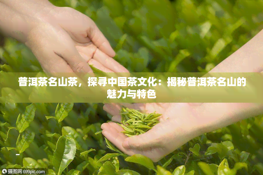 普洱茶名山茶，探寻中国茶文化：揭秘普洱茶名山的魅力与特色