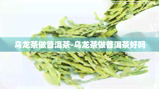 乌龙茶做普洱茶-乌龙茶做普洱茶好吗