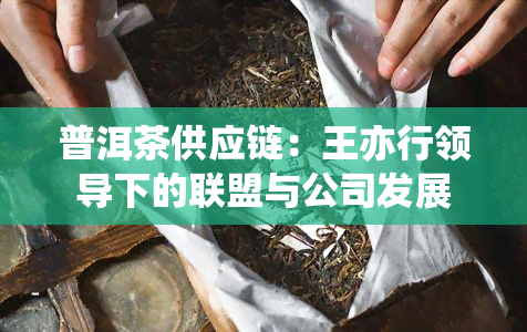 普洱茶供应链：王亦行领导下的联盟与公司发展