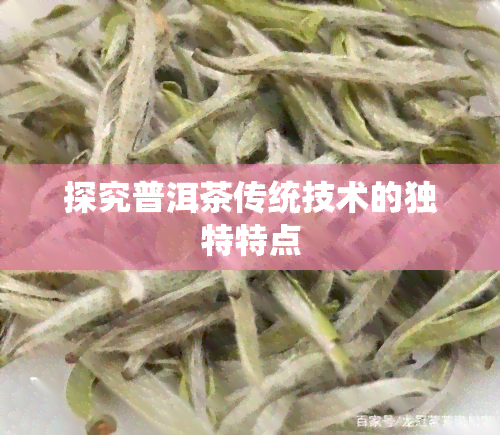 探究普洱茶传统技术的独特特点