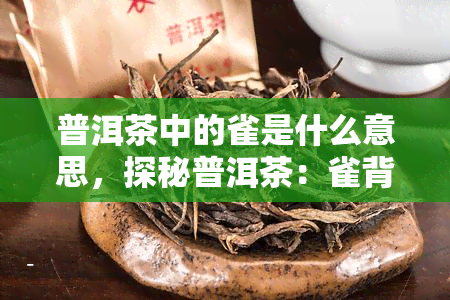 普洱茶中的雀是什么意思，探秘普洱茶：雀背后的含义解析