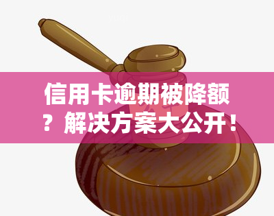 信用卡逾期被降额？解决方案大公开！