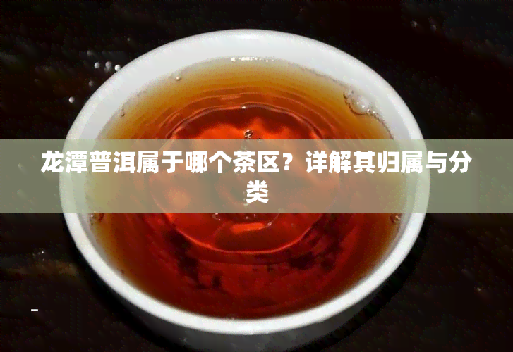 龙潭普洱属于哪个茶区？详解其归属与分类