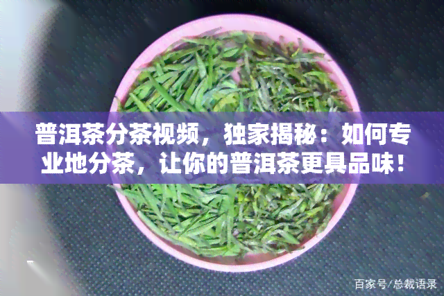 普洱茶分茶视频，独家揭秘：如何专业地分茶，让你的普洱茶更具品味！