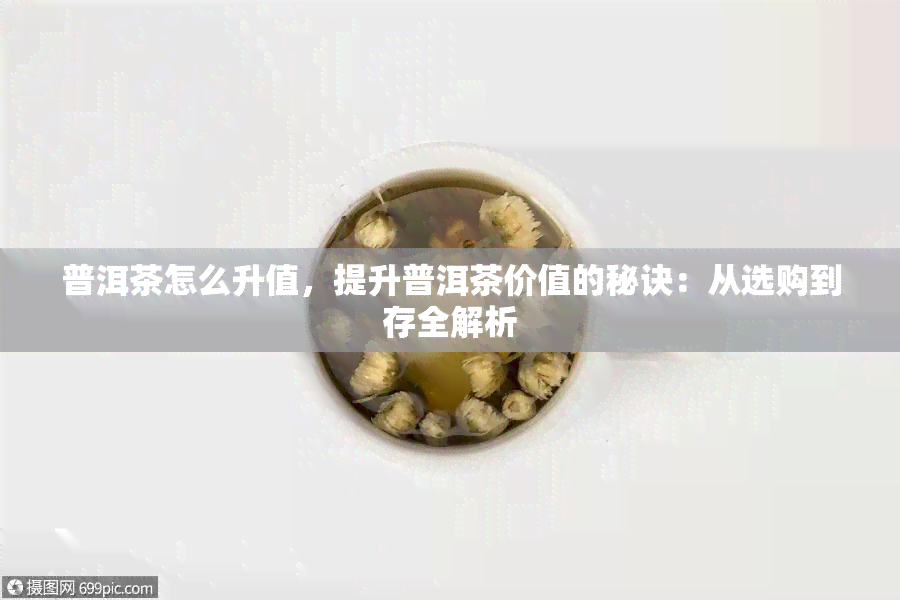 普洱茶怎么升值，提升普洱茶价值的秘诀：从选购到存全解析