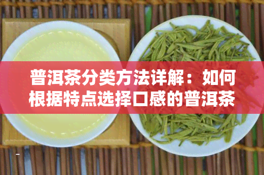 普洱茶分类方法详解：如何根据特点选择口感的普洱茶？