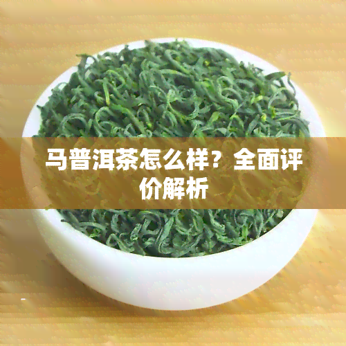 马普洱茶怎么样？全面评价解析