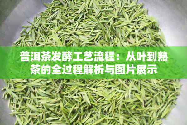 普洱茶发酵工艺流程：从叶到熟茶的全过程解析与图片展示