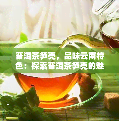 普洱茶笋壳，品味云南特色：探索普洱茶笋壳的魅力