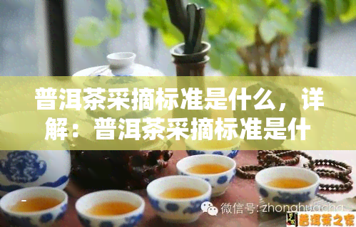 普洱茶采摘标准是什么，详解：普洱茶采摘标准是什么？