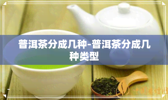 普洱茶分成几种-普洱茶分成几种类型