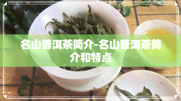 名山普洱茶简介-名山普洱茶简介和特点