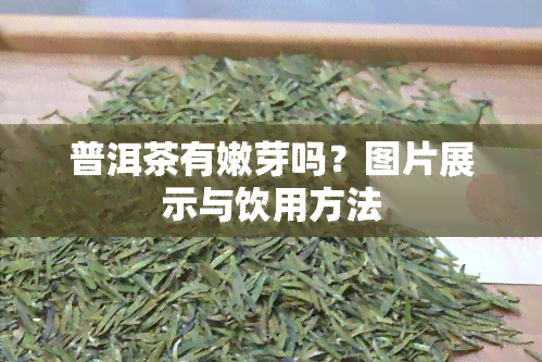 普洱茶有嫩芽吗？图片展示与饮用方法