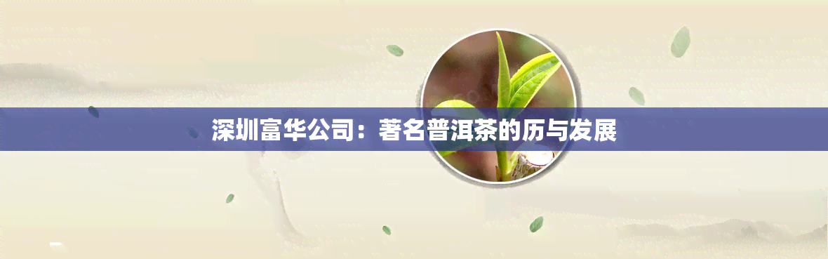 深圳富华公司：著名普洱茶的历与发展