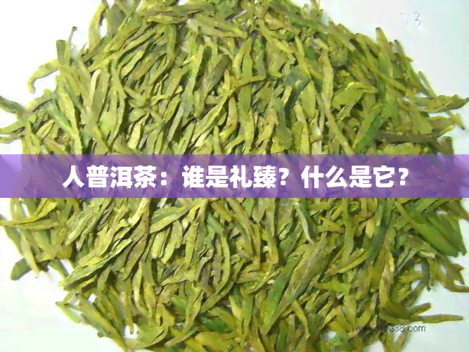 人普洱茶：谁是礼臻？什么是它？