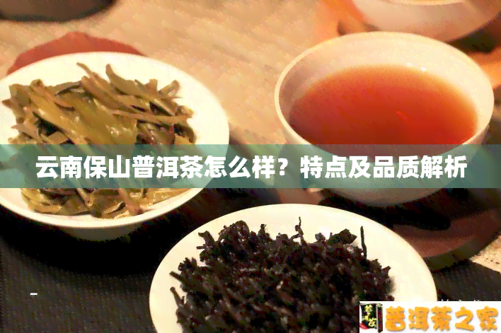 云南保山普洱茶怎么样？特点及品质解析