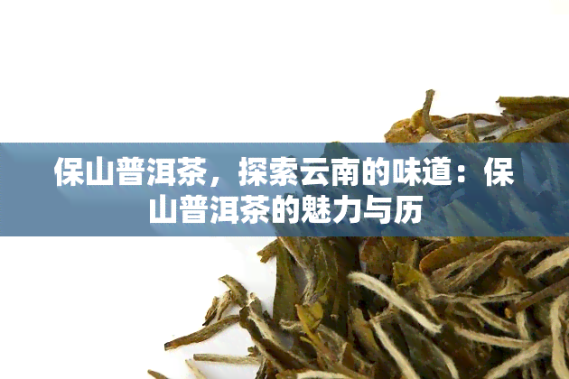 保山普洱茶，探索云南的味道：保山普洱茶的魅力与历