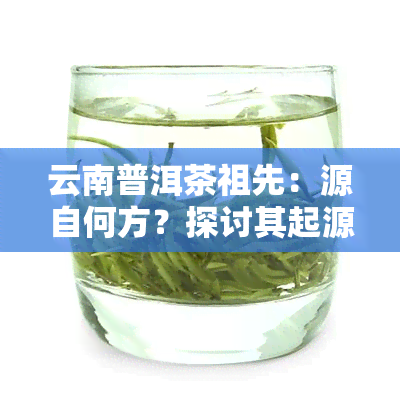 云南普洱茶祖先：源自何方？探讨其起源与品种