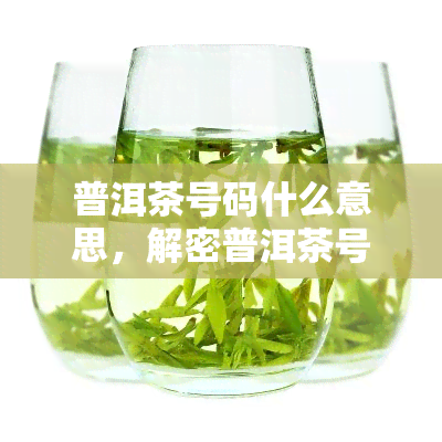 普洱茶号码什么意思，解密普洱茶号码：你不知道的茶叶知识