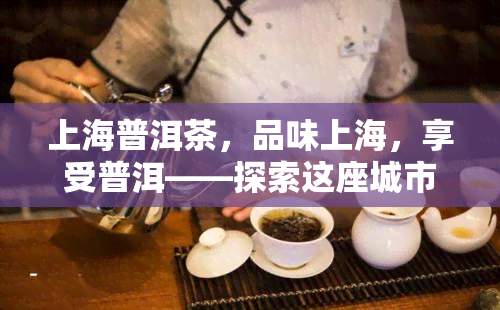 上海普洱茶，品味上海，享受普洱——探索这座城市与茶叶的完美结合