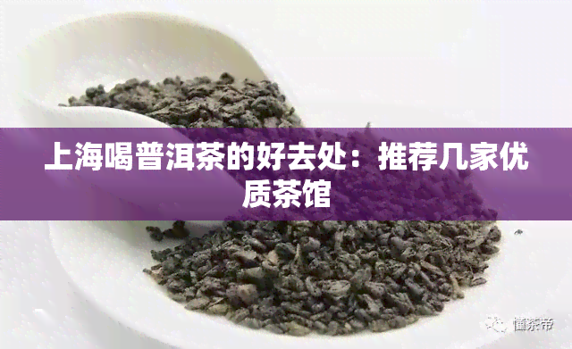 上海喝普洱茶的好去处：推荐几家优质茶馆