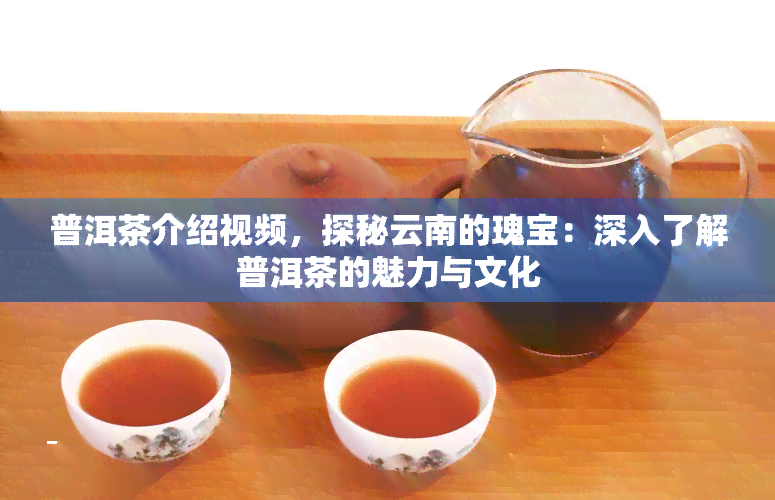 普洱茶介绍视频，探秘云南的瑰宝：深入了解普洱茶的魅力与文化