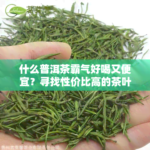 什么普洱茶霸气好喝又便宜？寻找性价比高的茶叶推荐