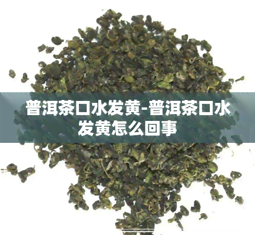 普洱茶口水发黄-普洱茶口水发黄怎么回事