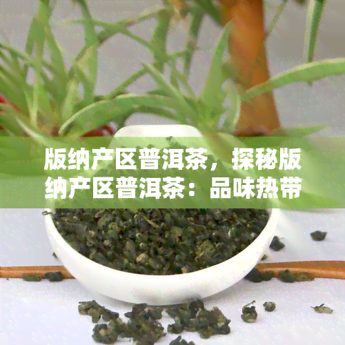 版纳产区普洱茶，探秘版纳产区普洱茶：品味热带雨林的独特风味