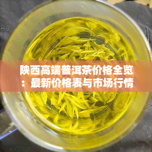 陕西高端普洱茶价格全览：最新价格表与市场行情