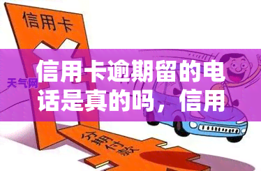 信用卡逾期留的电话是真的吗，信用卡逾期：留下的电话号码是真实的吗？