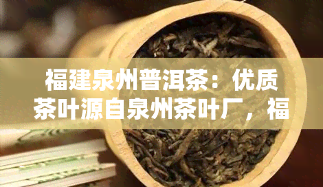 福建泉州普洱茶：优质茶叶源自泉州茶叶厂，福州普洱茶店提供全面服务