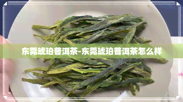 东莞琥珀普洱茶-东莞琥珀普洱茶怎么样