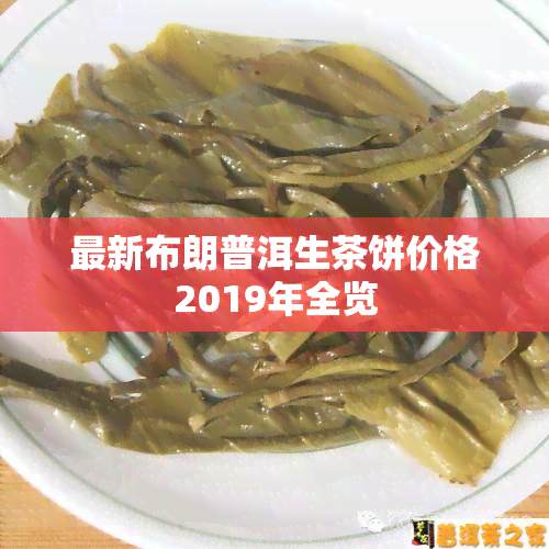 最新布朗普洱生茶饼价格2019年全览