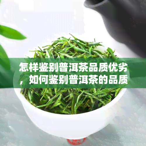 怎样鉴别普洱茶品质优劣，如何鉴别普洱茶的品质优劣？