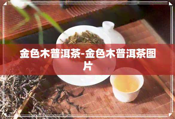 金色木普洱茶-金色木普洱茶图片