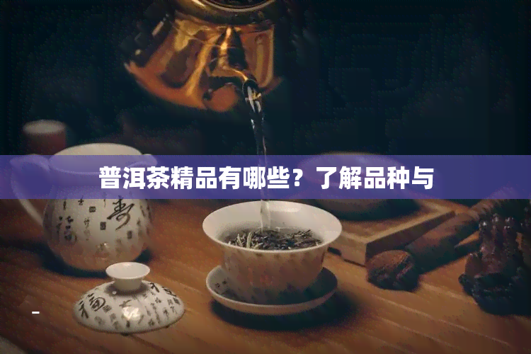 普洱茶精品有哪些？了解品种与