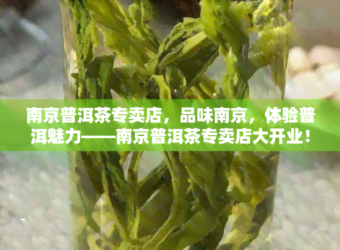 南京普洱茶专卖店，品味南京，体验普洱魅力——南京普洱茶专卖店大开业！