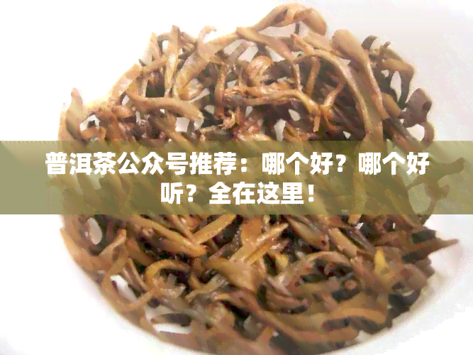 普洱茶公众号推荐：哪个好？哪个好听？全在这里！