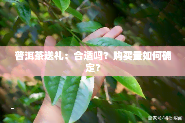 普洱茶送礼：合适吗？购买量如何确定？