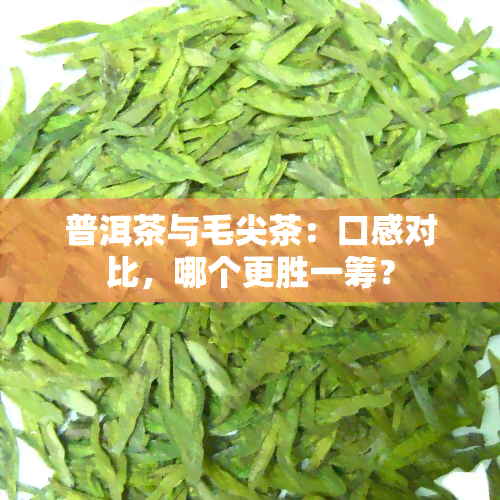 普洱茶与毛尖茶：口感对比，哪个更胜一筹？