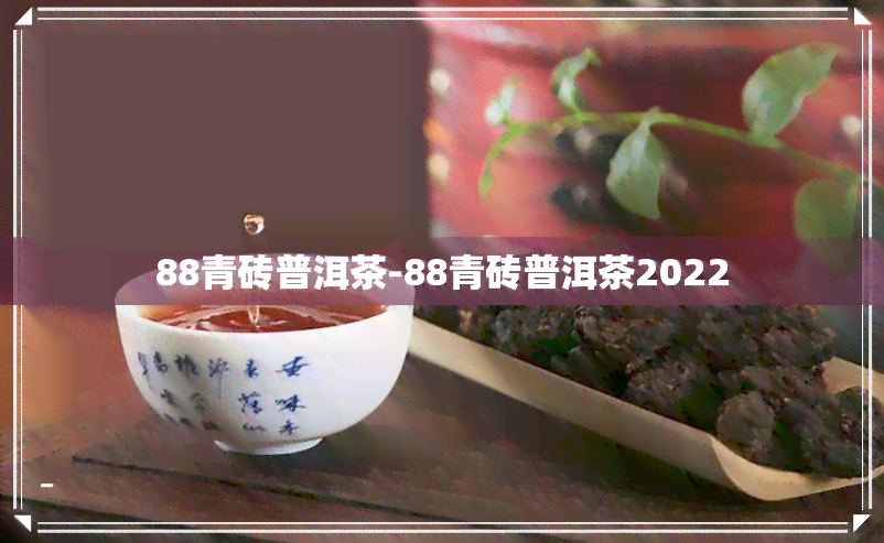 88青砖普洱茶-88青砖普洱茶2022